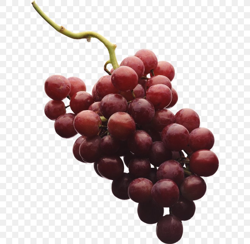 Kyoho Red Wine Grape Seed Extract, PNG, 616x800px, Kyoho, Amazon Grape, Berry, Common Grape Vine, Cranberry Download Free