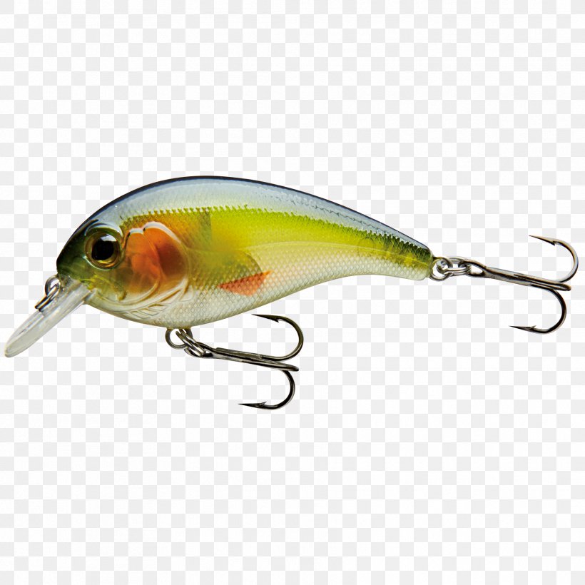 Perch Spoon Lure Insect Fish AC Power Plugs And Sockets, PNG, 1772x1772px, Perch, Ac Power Plugs And Sockets, Bait, Bony Fish, Fish Download Free