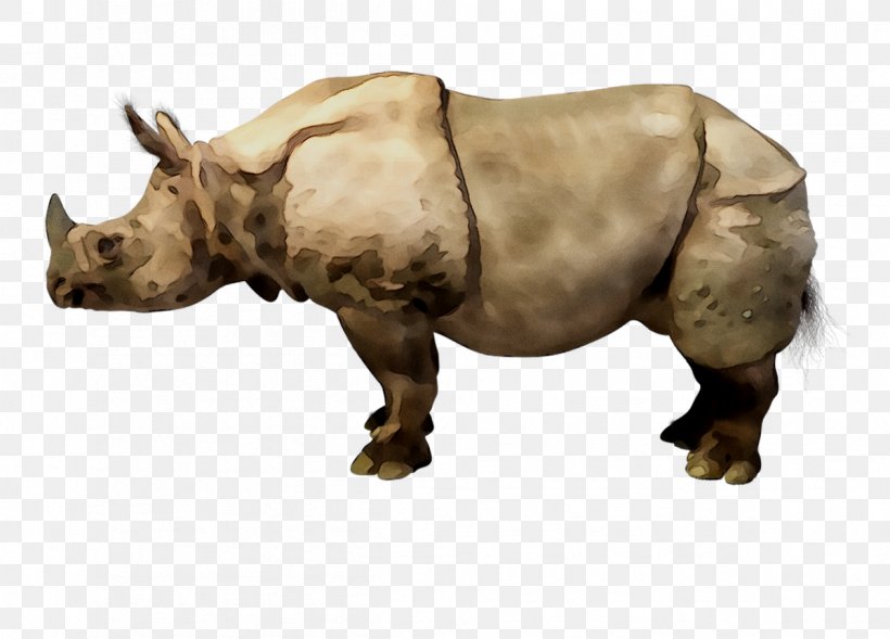 Rhinoceros Cattle Mammal Fauna Terrestrial Animal, PNG, 1199x862px, Rhinoceros, Animal, Animal Figure, Black Rhinoceros, Cattle Download Free