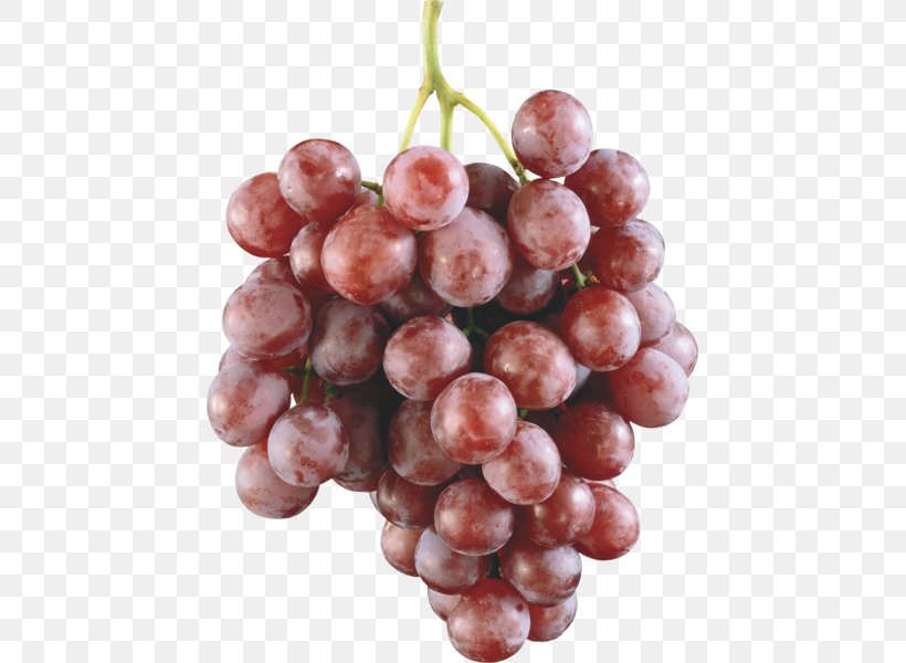 Wine Grape Fruit Food Seed, PNG, 445x600px, Wine, Amazon Grape, Cucumber, Delivery, Dessert Download Free