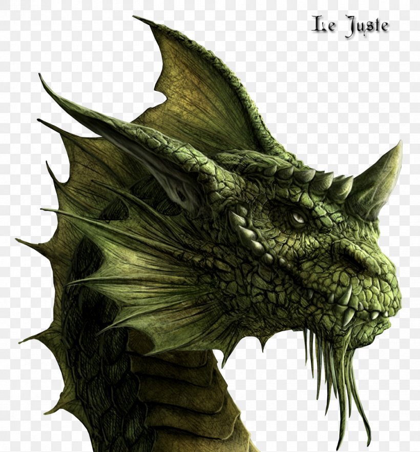 Eragon Brisingr Inheritance Cycle Arya Dröttningu Galbatorix, PNG, 1005x1080px, Eragon, Author, Book, Brisingr, Christopher Paolini Download Free