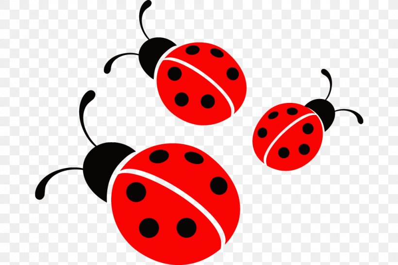 Ladybird Little Ladybugs Clip Art, PNG, 1020x680px, Ladybird, Animal, Animation, Beetle, Drawing Download Free