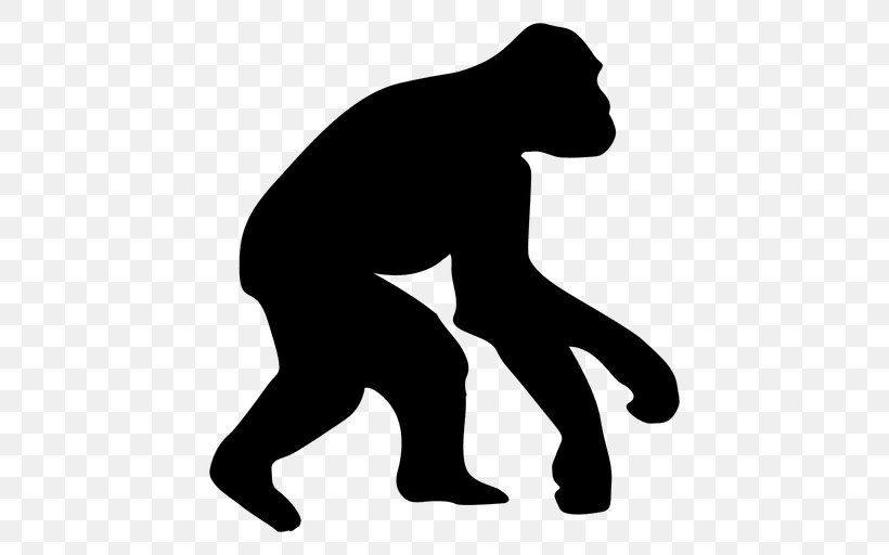 Ape Homo Sapiens Human Evolution Chimpanzee, PNG, 512x512px, Ape, Arm, Bigfoot, Black, Black And White Download Free