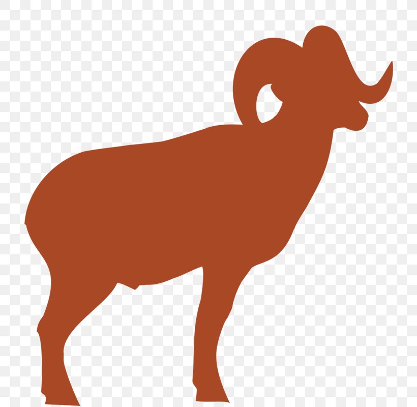 Clip Art Silhouette Sheep Vector Graphics, PNG, 800x800px, Silhouette, Animal Figure, Art, Bighorn, Bighorn Sheep Download Free