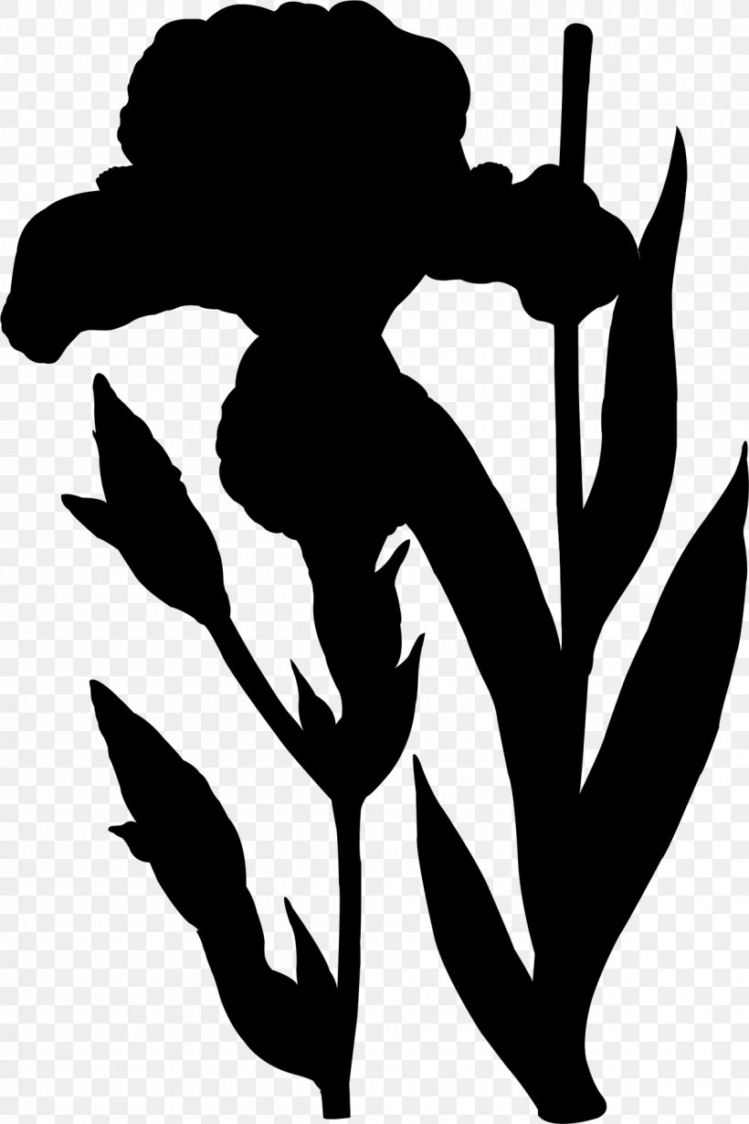 Flower Clip Art Human Behavior Silhouette, PNG, 1200x1800px, Flower, Behavior, Black M, Blackandwhite, Flowering Plant Download Free