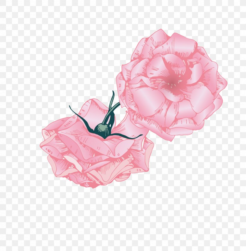 Beach Rose Pink Euclidean Vector, PNG, 1240x1265px, Rose, Color, Concepteur, Designer, Flower Download Free