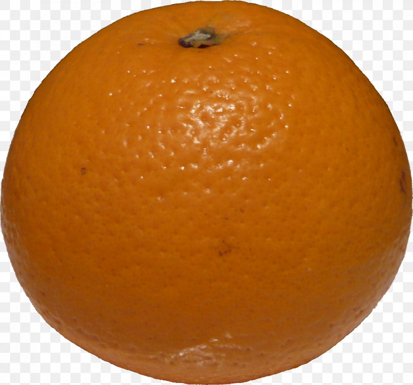 Blood Orange Tangerine Clementine Tangelo Mandarin Orange, PNG, 1443x1346px, Blood Orange, Bitter Orange, Citric Acid, Citrus, Clementine Download Free