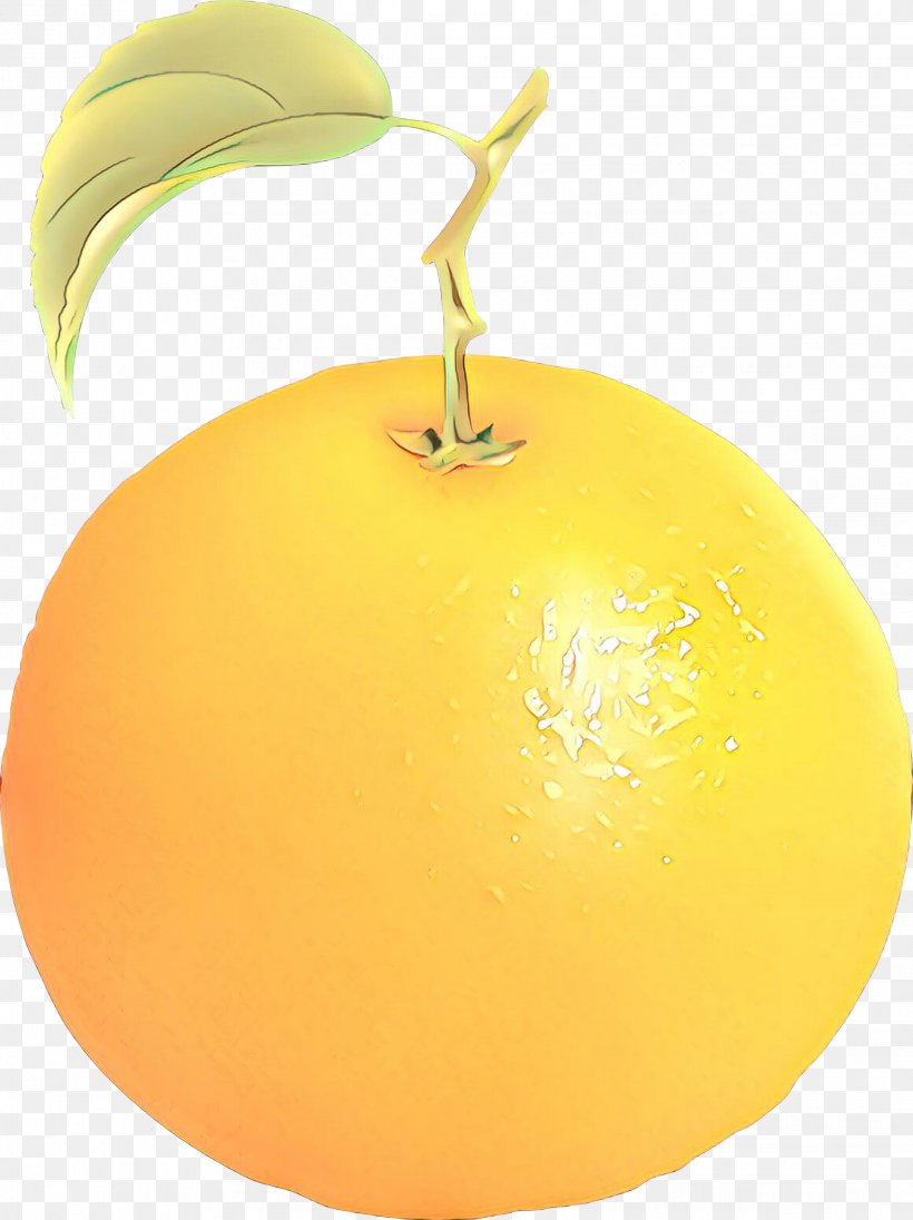 Citrus Apple Orange S.A., PNG, 2243x2999px, Citrus, Apple, Food, Fruit, Grapefruit Download Free