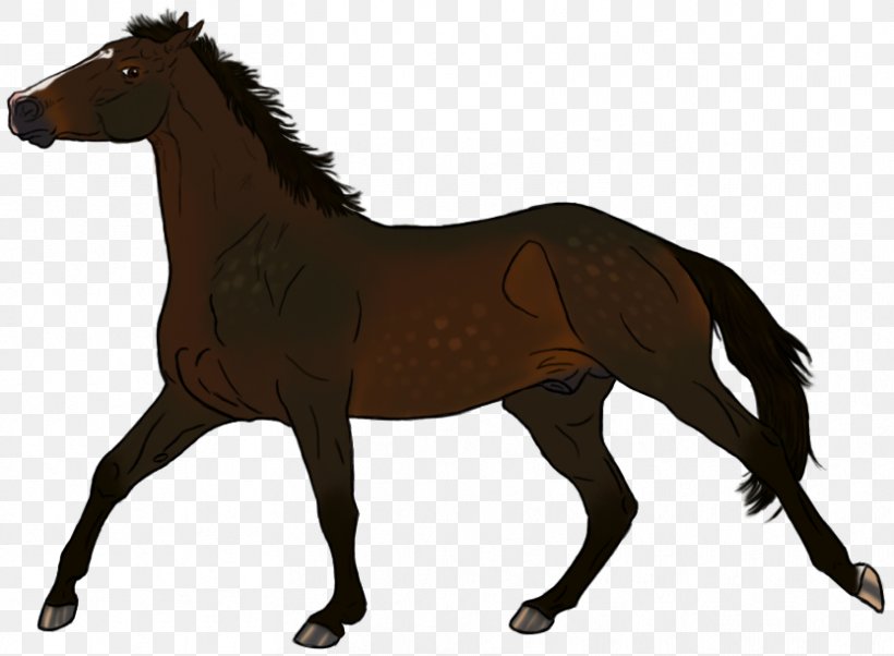 Mustang Pony Foal Stallion Colt, PNG, 833x612px, Mustang, Animal Figure, Art, Bridle, Colt Download Free