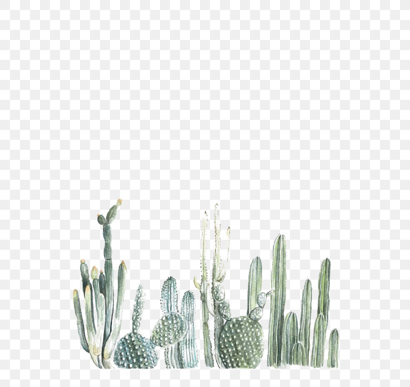 Cactaceae Paper Printing Watercolor Painting, PNG, 564x775px, Cactaceae, Art, Cactus, Caryophyllales, Color Download Free