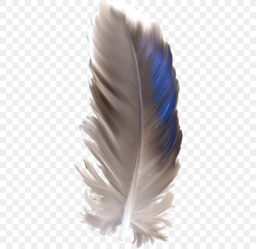 Feather Watercolor Painting Euclidean Vector, PNG, 351x800px, Feather, Drawing, Gratis, Resource, Software Download Free