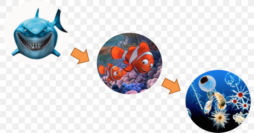 Finding Nemo Desktop Wallpaper Art, PNG, 800x431px, Finding Nemo, Art, Computer Download Free