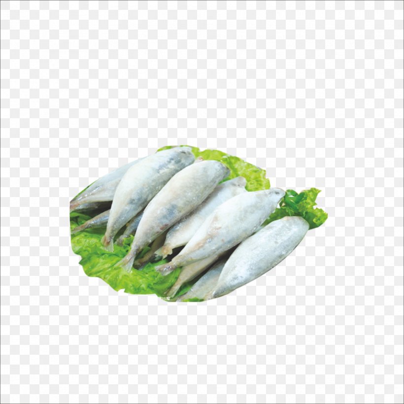 Sardine Fish Slice Seafood, PNG, 1773x1773px, Sardine, Canning, Fish, Fish Products, Fish Slice Download Free
