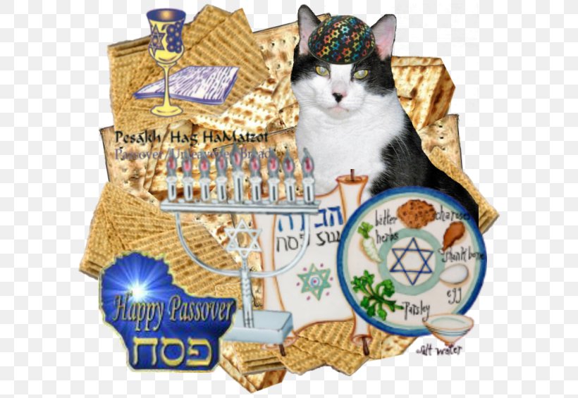 Cat Haggadah Whiskers Pet, PNG, 600x565px, Cat, Animal, Cafepress, Canvas, Cat Like Mammal Download Free