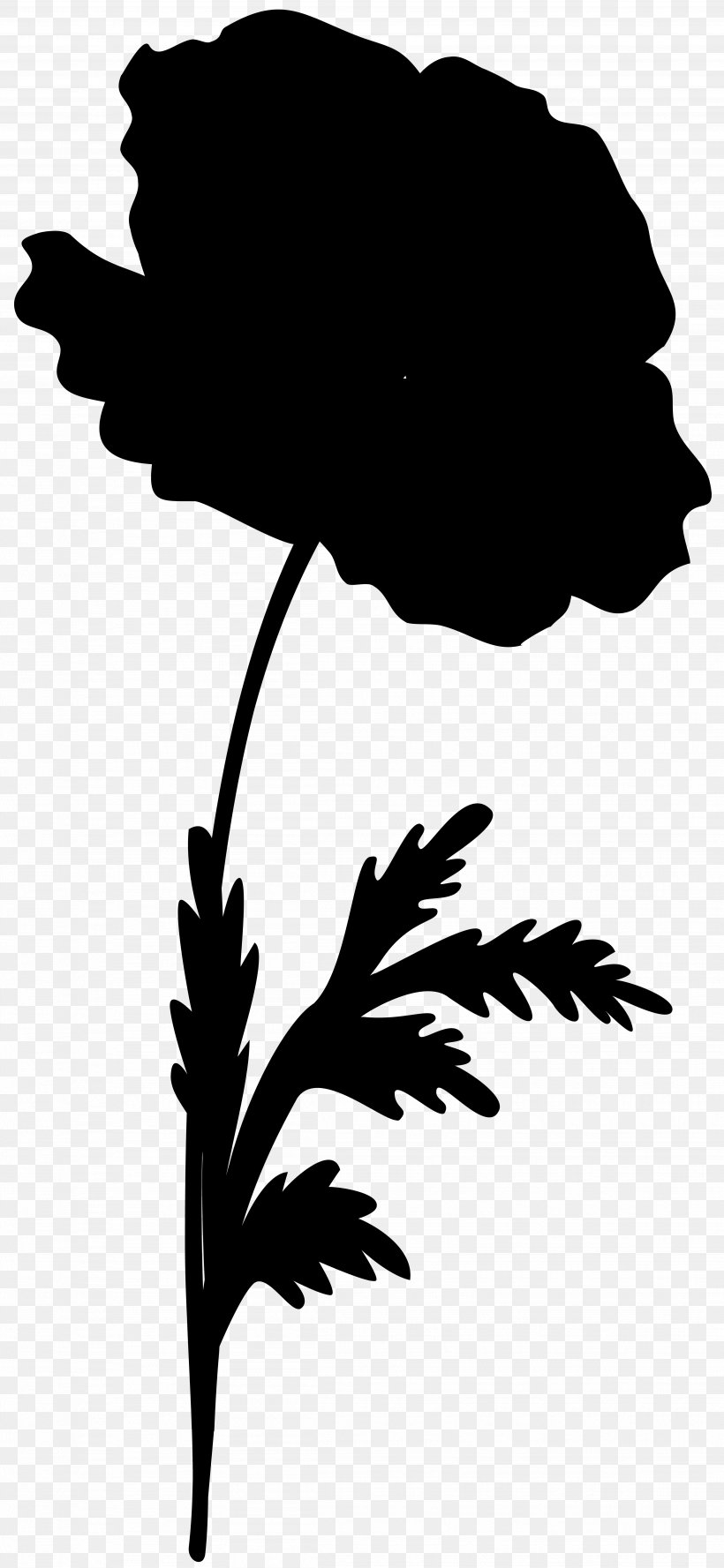 Flower Leaf Plant Stem Clip Art Silhouette, PNG, 3691x8000px, Flower, Blackandwhite, Botany, Branching, Flowering Plant Download Free