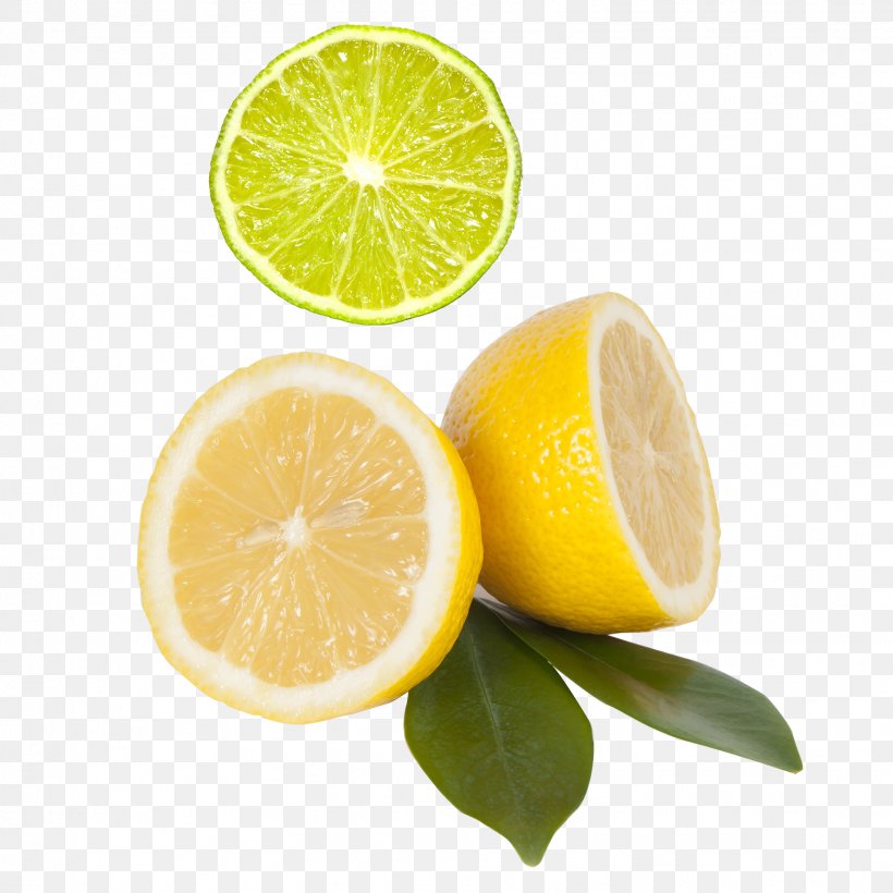 Juice Gin Sour Lemon Mandarin Orange, PNG, 1559x1559px, Juice, Canvas Print, Citric Acid, Citron, Citrus Download Free