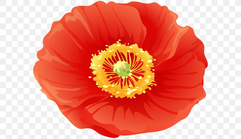 Poppy Clip Art Image Transparency, PNG, 600x474px, Poppy, Armistice Day, Art, Coquelicot, Corn Poppy Download Free
