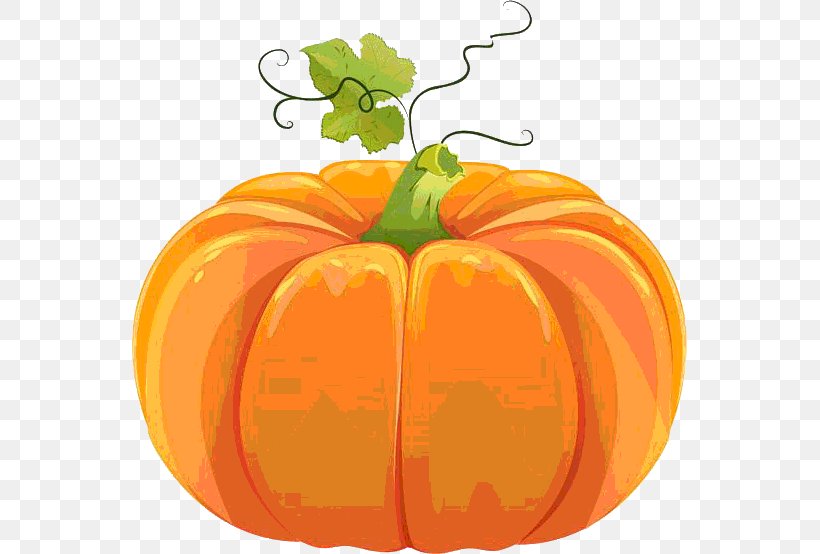 Pumpkin Cucurbita Pepo Clip Art, PNG, 555x554px, Pumpkin, Apple, Bell Pepper, Bell Peppers And Chili Peppers, Calabaza Download Free