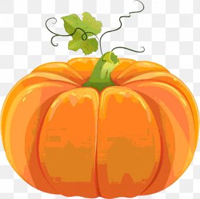 Fall Vector - Pumpkin Cucurbita Pepo Clip Art PNG