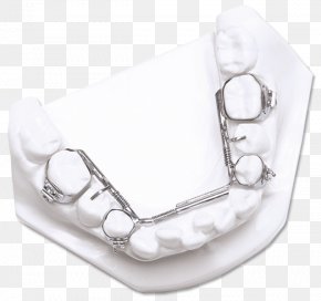 Silver - Silver Product Design Jaw PNG