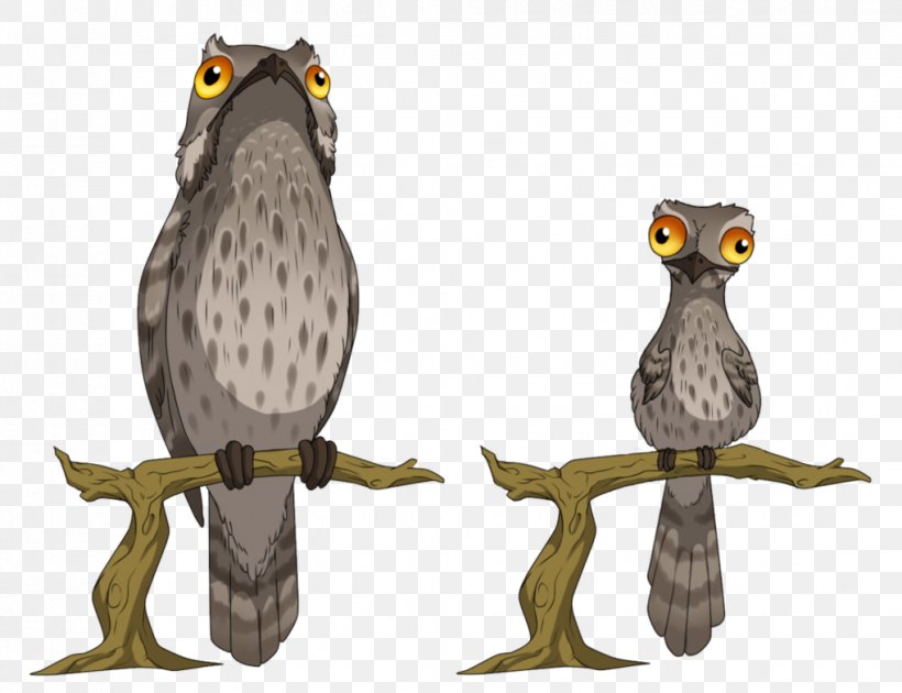 Tawny Owl Bird Potoo Great Grey Owl, PNG, 1019x784px, Owl, Animal, Beak, Bird, Bird Of Prey Download Free