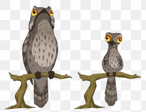 Owl - Tawny Owl Bird Potoo Great Grey Owl PNG