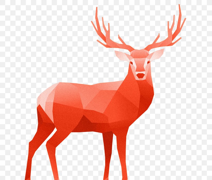 White-tailed Deer Red Deer, PNG, 650x696px, Deer, Antler, Drawing, Elk, Horn Download Free