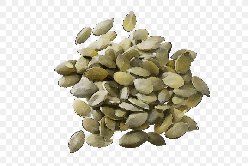 Plant Pumpkin Seed Seed Food Nuts & Seeds, PNG, 768x550px, Watercolor, Food, Nuts Seeds, Paint, Plant Download Free