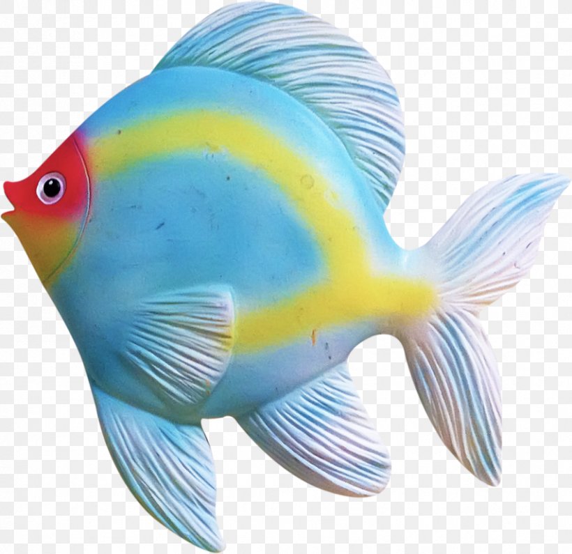 Tropical Fish Coral Reef Fish Clip Art, PNG, 853x827px, Fish, Animal, Blue, Coral Reef Fish, Electric Blue Download Free