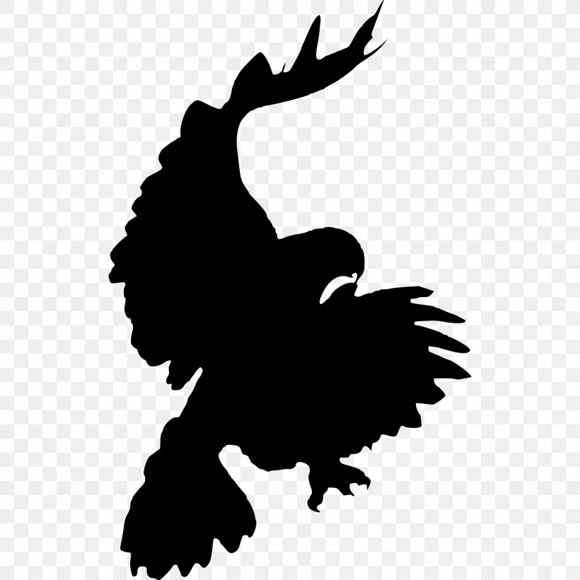 Bird Red-tailed Hawk Clip Art, PNG, 2400x2400px, Bird, Beak, Bird Of Prey, Black And White, Blackandwhite Hawkeagle Download Free