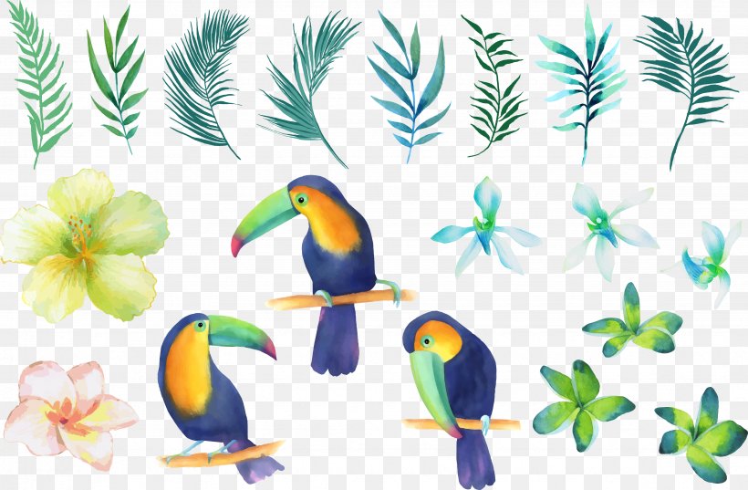 Parrot Beak Watercolor Painting Clip Art, PNG, 4689x3075px, Parrot, Beak, Bird, Color, Fauna Download Free