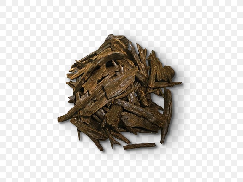 Agarwood Essential Oil Fragrance Oil Perfume, PNG, 614x614px, Agarwood, Ajwain, Aquilaria, Aroma Compound, Assam Tea Download Free