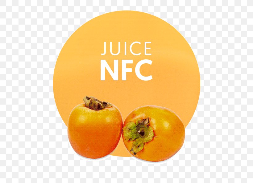 Apple Juice Vegetarian Cuisine Persimmon Food, PNG, 536x595px, Apple Juice, Concentrate, Diet Food, Dietary Fiber, Diospyros Download Free