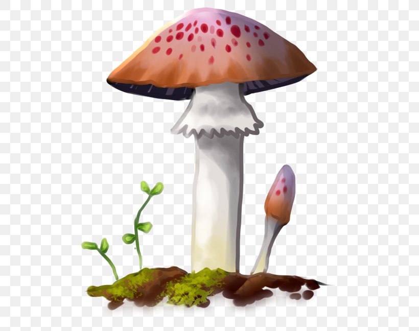 Mushroom, PNG, 528x648px, Mushroom Download Free