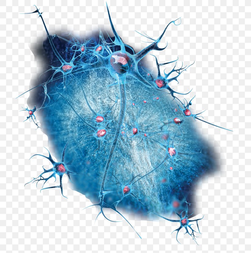 Neuroscience Of Sleep Electrophysiology Biology, PNG, 768x828px, Neuroscience, Action Potential, Adinstruments, Biology, Blue Download Free