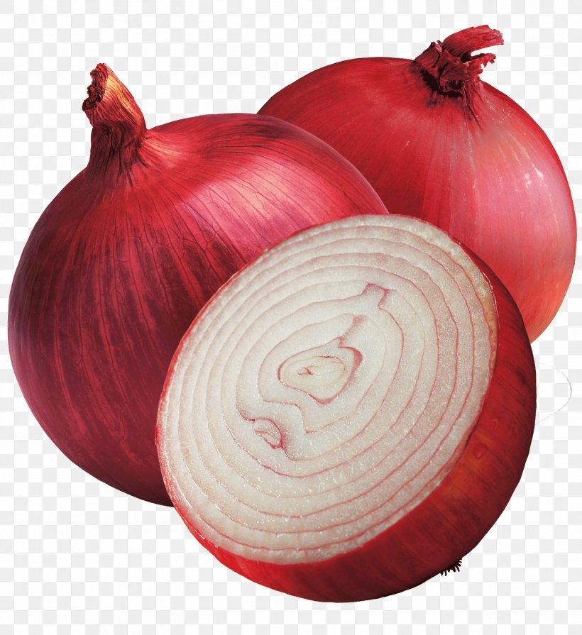 Red Onion Vegetable Shallot Bitter Melon Flavor, PNG, 1565x1709px, Red Onion, Bitter Melon, Christmas Ornament, Cooking, Curry Download Free