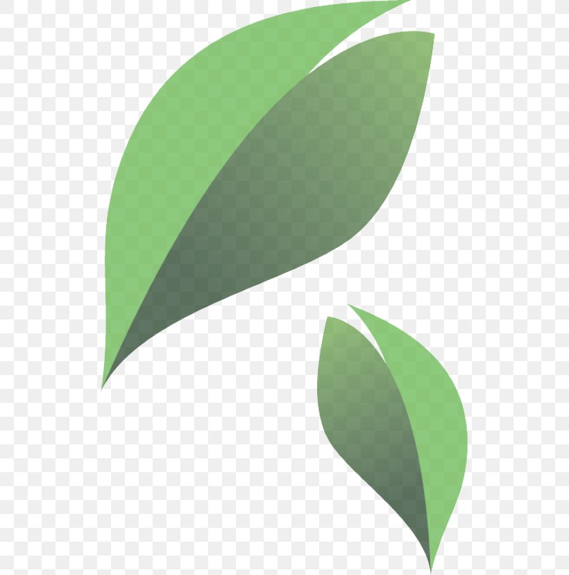 Leaf Green Plant Logo Clip Art, PNG, 531x828px, Leaf, Flower, Green, Logo, Plant Download Free