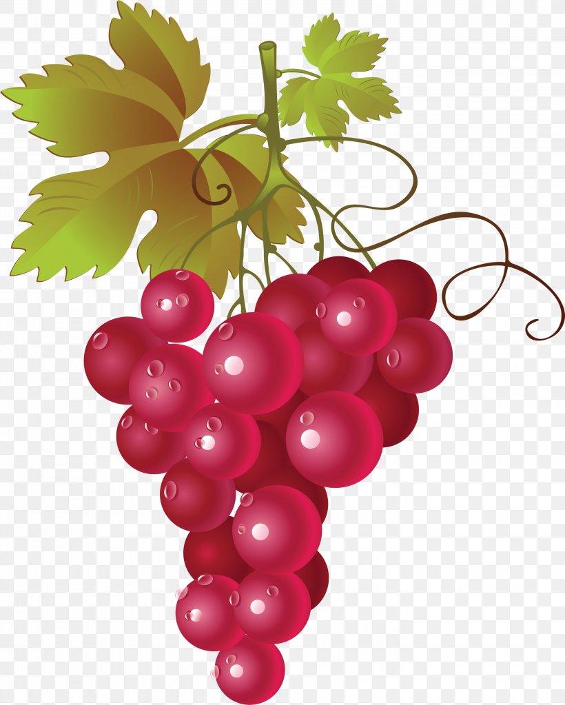 Red Wine Common Grape Vine Clip Art, PNG, 2848x3554px, Wine, Berry, Common Grape Vine, Concord Grape, Flowering Plant Download Free