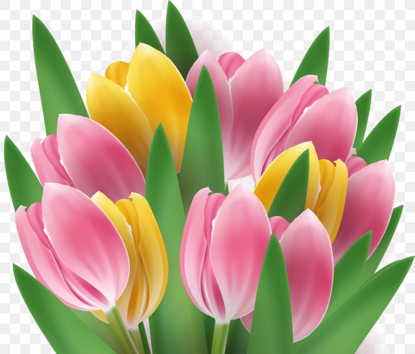 Tulip Flower Clip Art, PNG, 1017x869px, Tulip, Cut Flowers, Floristry, Flower, Flower Bouquet Download Free