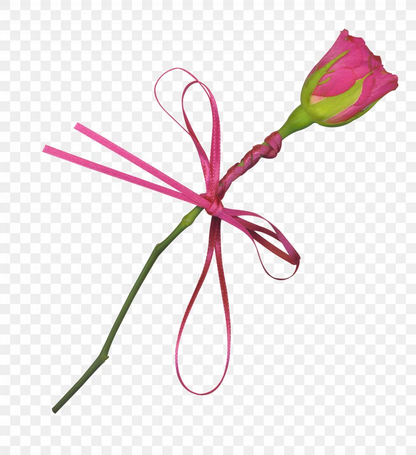 Beach Rose Gold Clip Art, PNG, 3680x4032px, Beach Rose, Flower, Flower Bouquet, Garden Roses, Gold Download Free