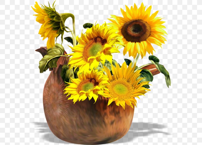 Common Sunflower Sunflowers Clip Art, PNG, 600x590px, Common Sunflower, Cut Flowers, Daisy Family, Floral Design, Floristry Download Free
