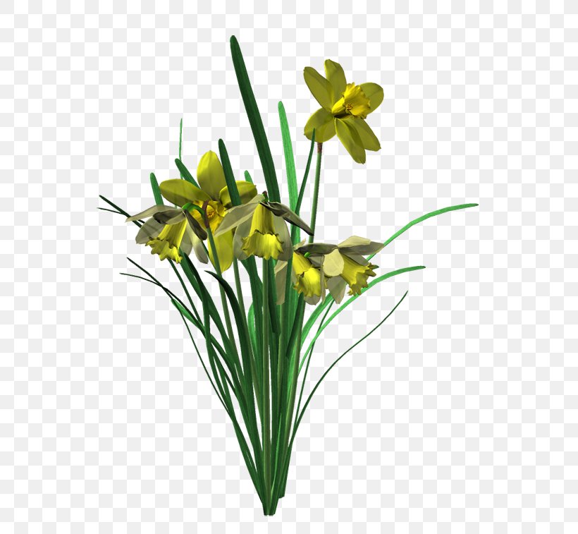 Cut Flowers HTML5 Video Floral Design Video File Format, PNG, 600x757px, Flower, Amaryllis Family, Cut Flowers, Flora, Floral Design Download Free