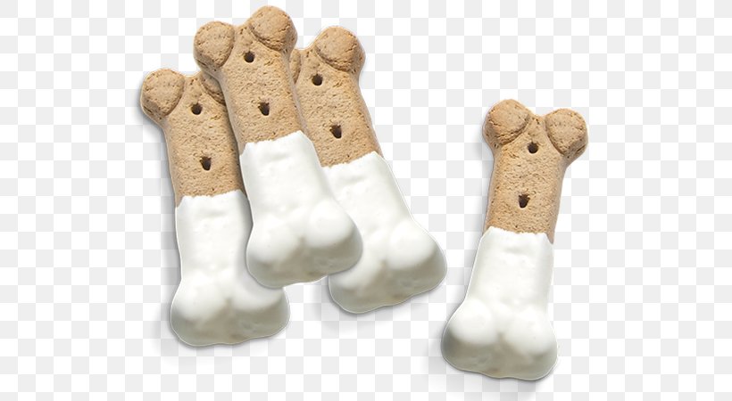 Labrador Retriever Bone Dog Biscuit Confectionery Image, PNG, 600x450px, Labrador Retriever, Biting, Bone, Chewing, Confectionery Download Free