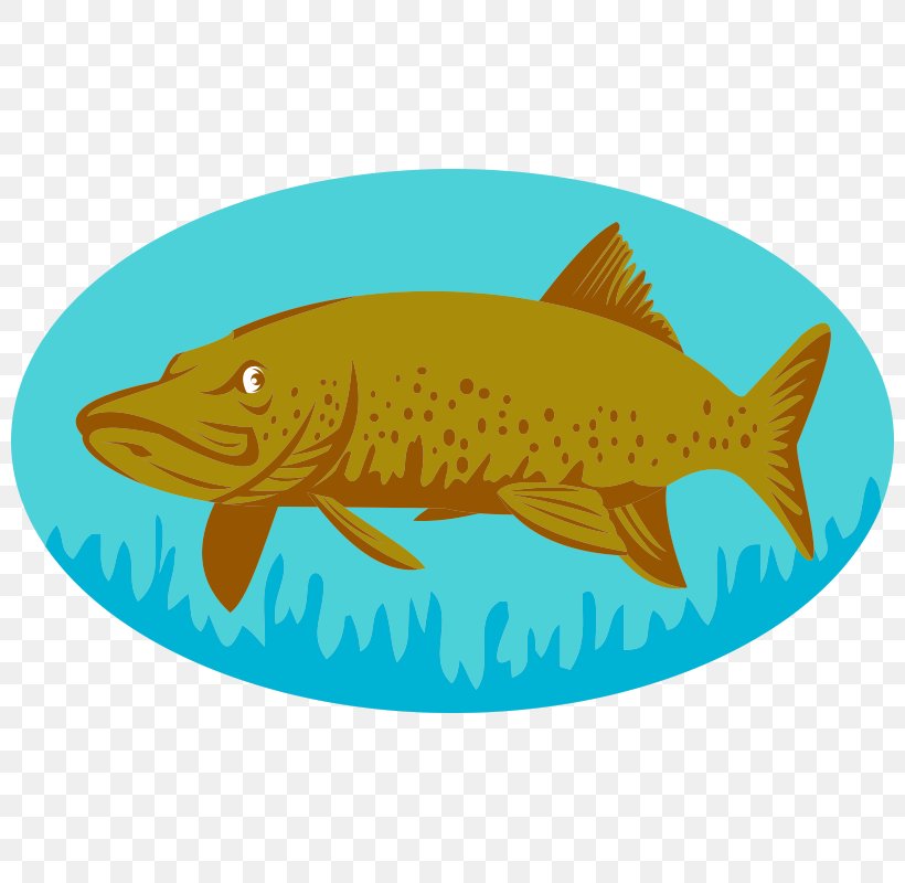 Northern Pike Muskellunge Stock Photography, PNG, 800x800px, Northern Pike, Alamy, Bony Fish, Fauna, Fin Download Free