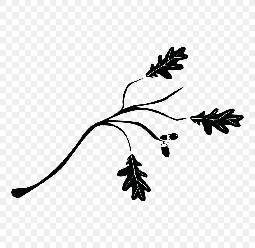 Twig Branch Tree Drawing Shrub, PNG, 800x800px, Twig, Black And White, Branch, Drawing, English Lavender Download Free