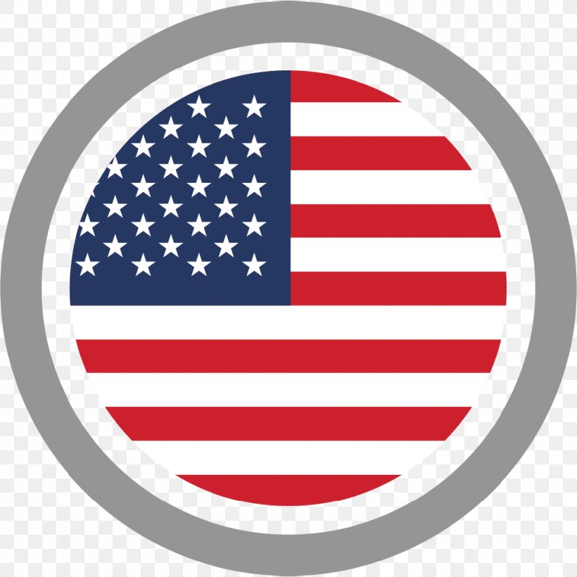 United States Of America Flag Of The United States Vector Graphics Stock Illustration, PNG, 1000x1000px, United States Of America, Area, Brand, Canvas, Flag Download Free