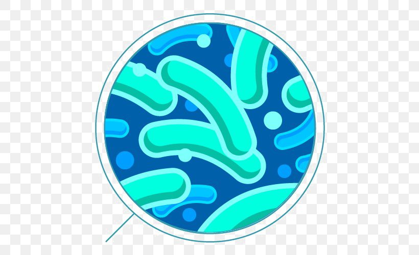 Bacteria Slime Layer Image Clip Art, PNG, 501x500px, Bacteria, Aqua, Biofilm, Fish, Infection Download Free