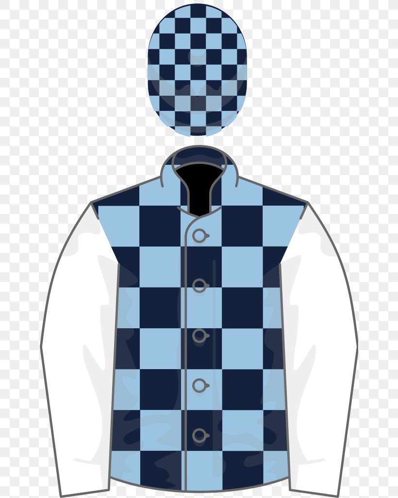 Chess Ascot Racecourse Spa Novices' Hurdle Horse Racing Vans, PNG, 656x1024px, Chess, Ascot Racecourse, Ascot Stakes, Horse, Horse Racing Download Free