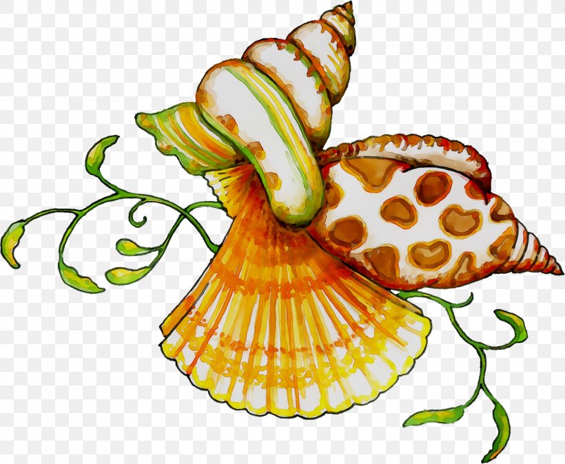 Clip Art Flower Food Product Invertebrate, PNG, 2285x1880px, Flower, Food, Invertebrate, Sea Snail Download Free