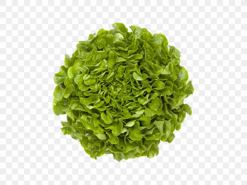 Leaf Vegetable Mesclun Salad Capitata Group, PNG, 1200x900px, Leaf Vegetable, Arugula, Capitata Group, Cauliflower, Commodity Download Free